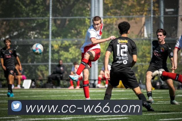 利来国际平台生态图