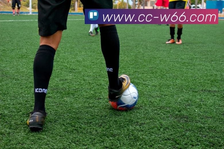 利来国际APP 封面图